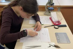 6cf69ac6-c1ff-438a-8a68-a79de78fa4d8