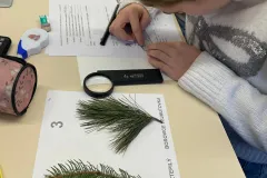 e4cab156-f0ce-4214-a714-6c51af02376e