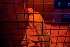 WhatsApp-Image-2026-02-13-at-11.27.011