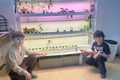 52036045-9dc1-4a42-97bf-1a5ca3fbc2e0