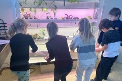 6a51b81c-346d-4ab3-90fd-e023fca612bd