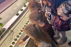 fde4c6d8-bff8-4fae-9e0e-85cd8a14cef5