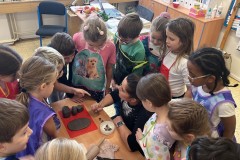 ba37b2d6-cf06-4bb6-8779-0b9aeb80c076