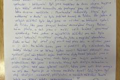 lyz_kurz-01