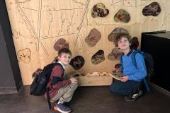 8180a493-9149-4799-89a5-58242f7f61f9