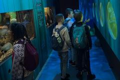 e70d74bc-85f9-4ada-8ae7-4e896ad2d210