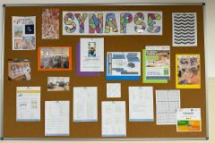 d16bb7a6-6850-42d5-9be2-244237de819e