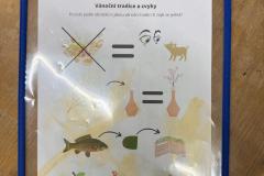 sovi_hratky_vanoce25-2