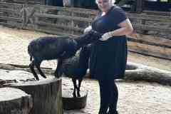 parlament_zoo_2026-10