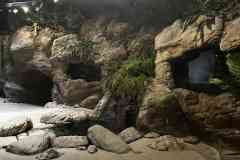 parlament_zoo_2026-14