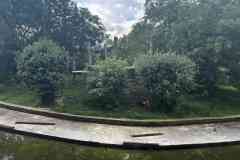 parlament_zoo_2026-16