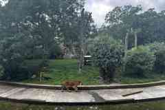 parlament_zoo_2026-18