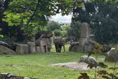 parlament_zoo_2026-25