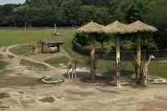 parlament_zoo_2026-26