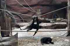 parlament_zoo_2026-27