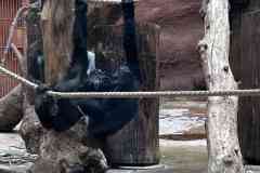 parlament_zoo_2026-30