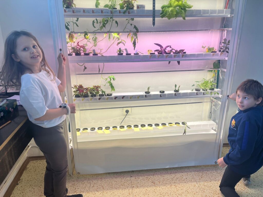 Hydroponie – pěstování bez hlíny